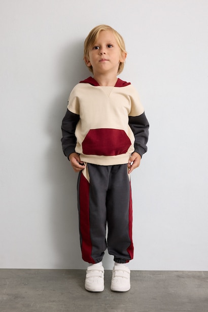 2 piece Regular Fit Hooded Set