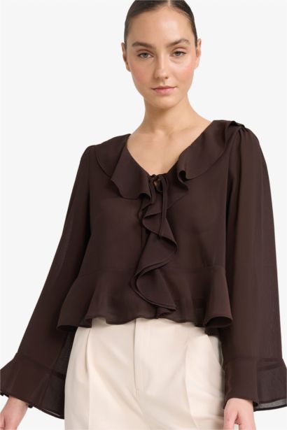 Regular Fit Chiffon Long Sleeve Blouse