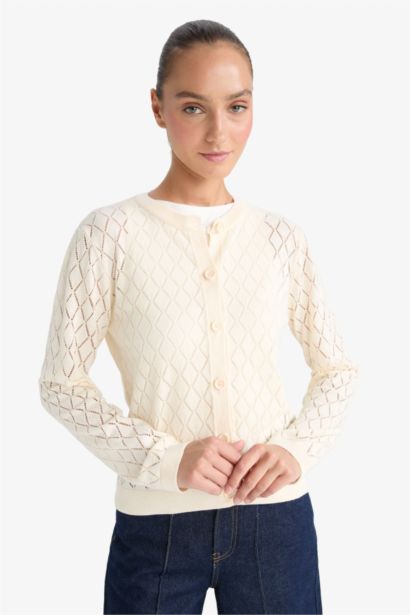 Regular Fit Crew Neck Openwork Knit Cardigan