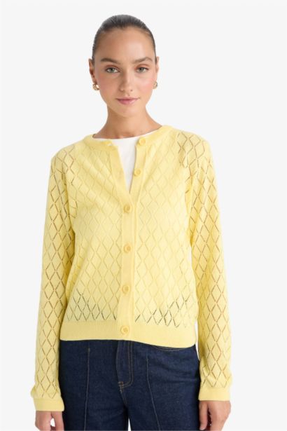 Regular Fit Crew Neck Openwork Knit Cardigan