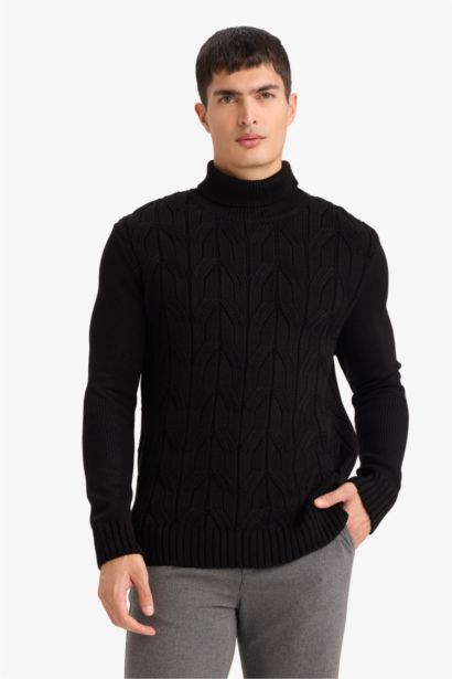 Standard Fit Turtleneck Knitwear Pullover