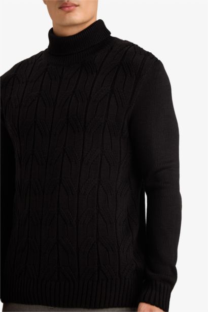 Standard Fit Turtleneck Knitwear Pullover