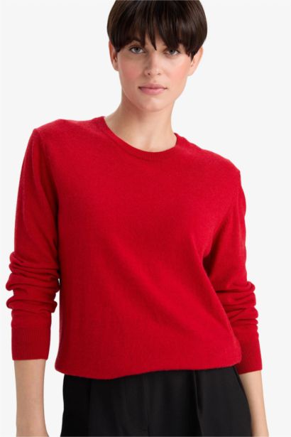 Regular Fit Knitwear Pullover