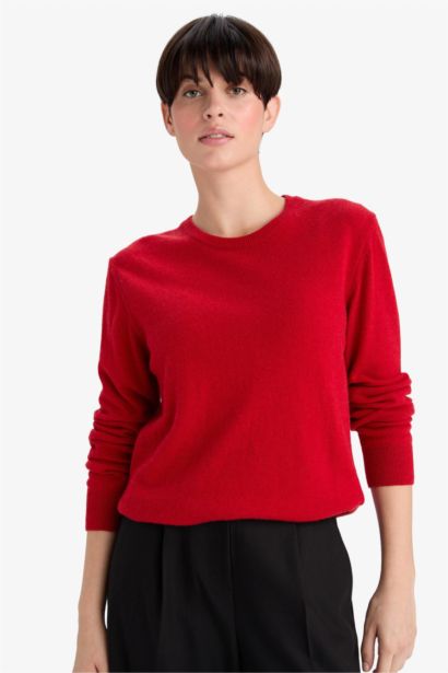 Regular Fit Knitwear Pullover