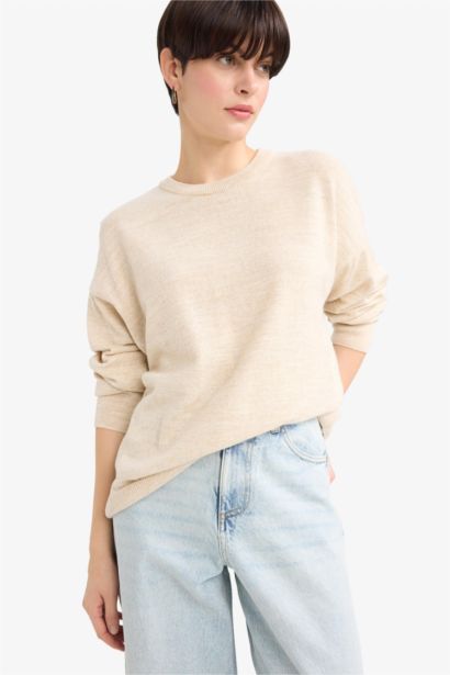 Regular Fit Crew Neck Knitwear Pullover