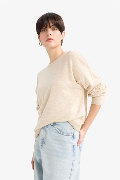 Regular Fit Crew Neck Knitwear Pullover