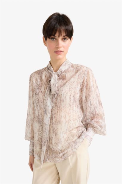 Regular Fit Bow Collar Chiffon Blouse