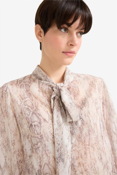 Regular Fit Bow Collar Chiffon Blouse