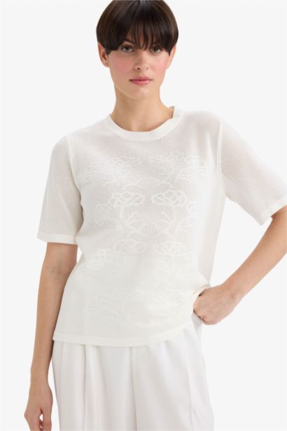 Regular Fit Crew Neck Knitwear Pullover