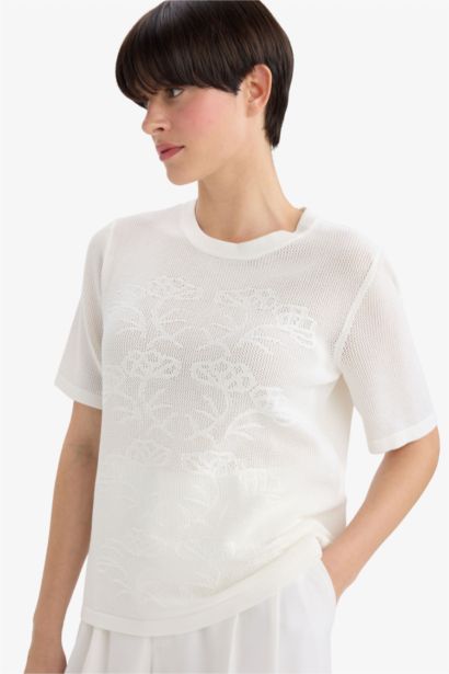 Regular Fit Crew Neck Knitwear Pullover