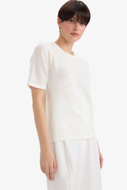 Regular Fit Crew Neck Knitwear Pullover