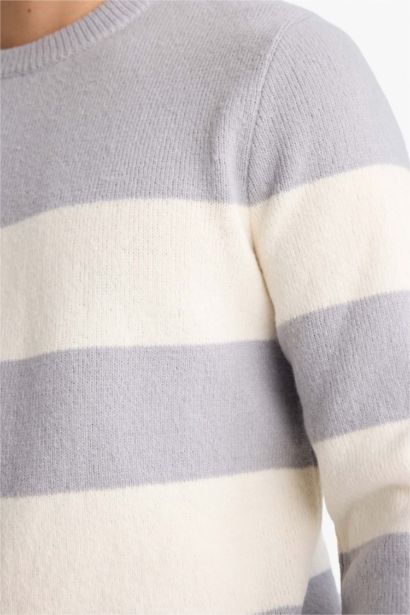 Pull tricot à col rond Coupe standard