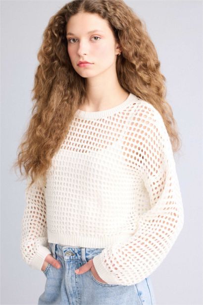 Crop Crew Neck Knitwear Pullover