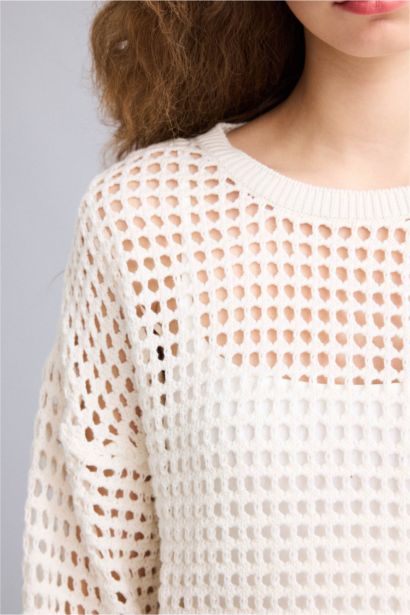 Crop Crew Neck Knitwear Pullover
