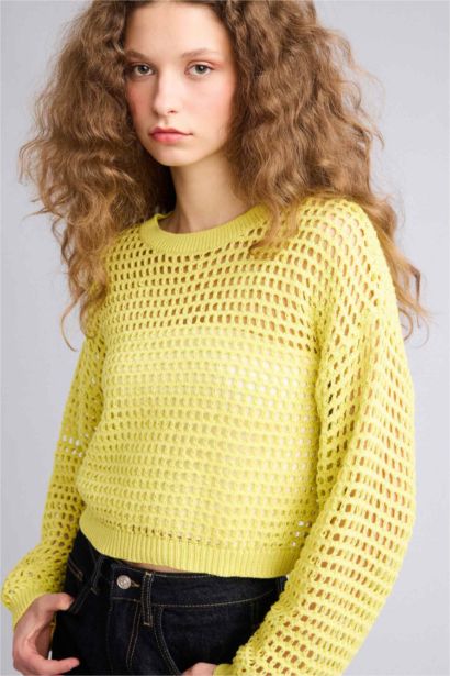 بلوفر تريكو كروب فيت بياقة مستديرة