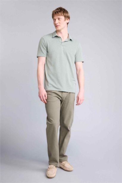 Standart Fıt Polo Yaka Kısa Kollu Polo Tişört