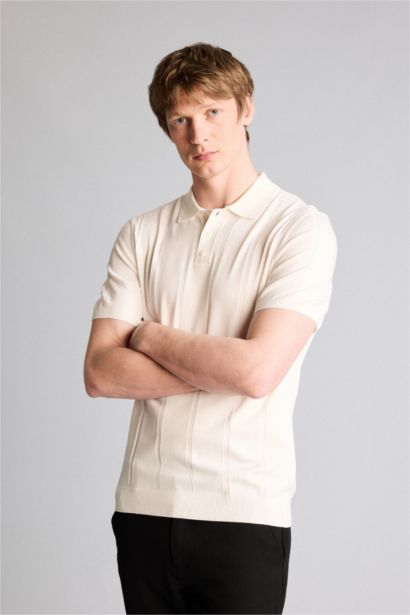 Standart Fıt Polo Yaka Kısa Kollu Polo Tişört