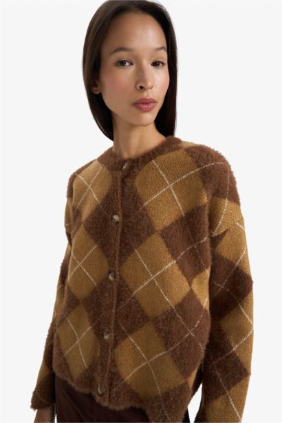 Regular Fit Crew Neck Knitwear Cardigan