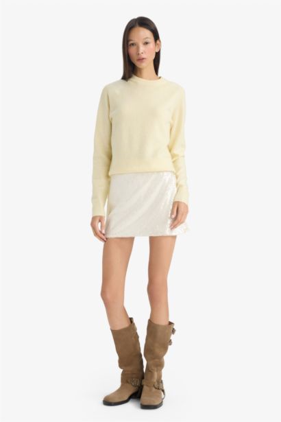 Regular Waist Sequined Mini Skirt