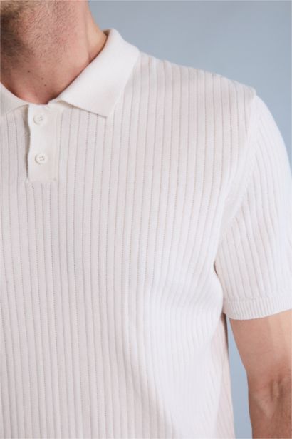 Standard Fit Short Sleeve Polo T-Shirt