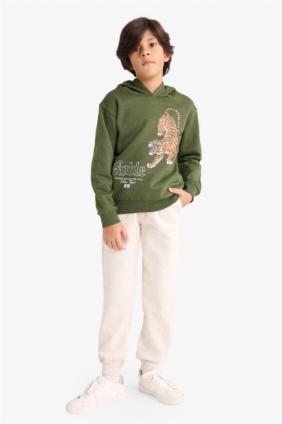 Boy Tiger Print Hoodie Back Printed 2 Piece Set