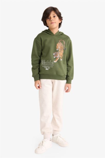 Boy Tiger Print Hoodie Back Printed 2 Piece Set