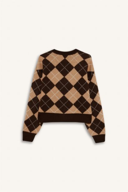 Regular Fit V Yaka Baklava Desenli Düğmeli Hırka