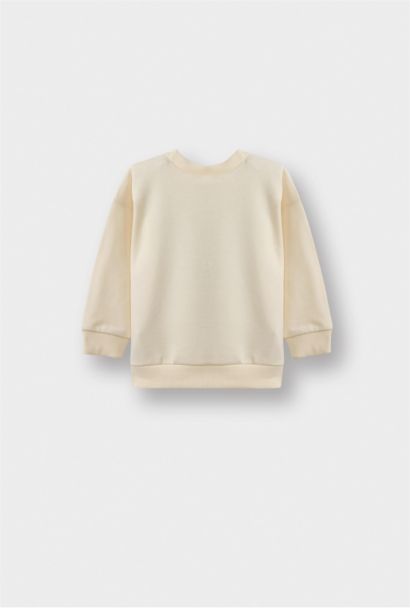 Baby Boy Crew Neck Printed Soft Lining 2 Piece Sweatshirt