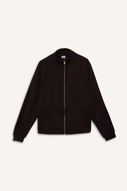 Standard Fit Stand Collar Fleece Lining Modal Zip Up Sweatshirt