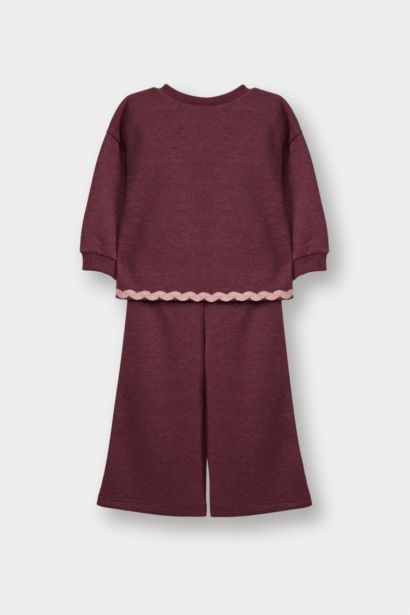 Baby Girl Sweatshirt Fabric 2 Piece Set