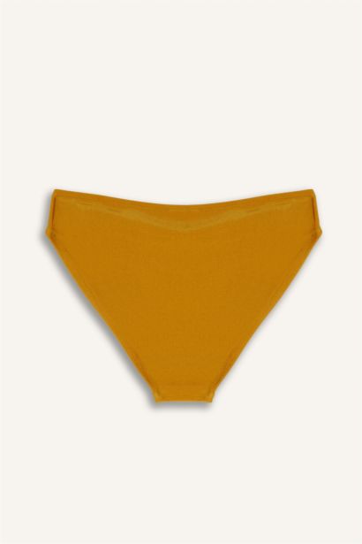 Regular Fit Bikini Alt