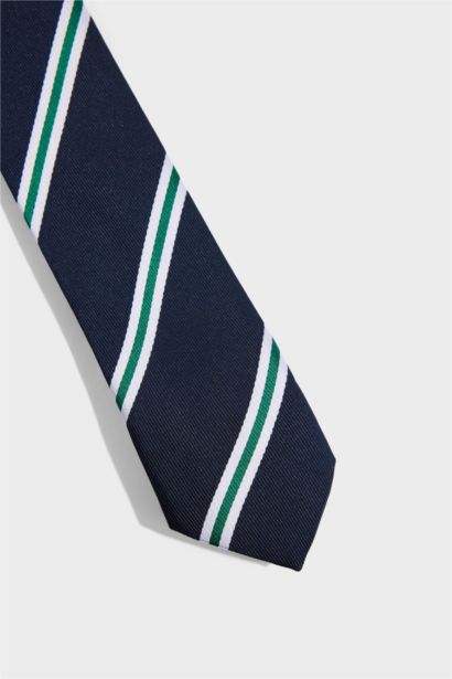 Woman Striped Tie