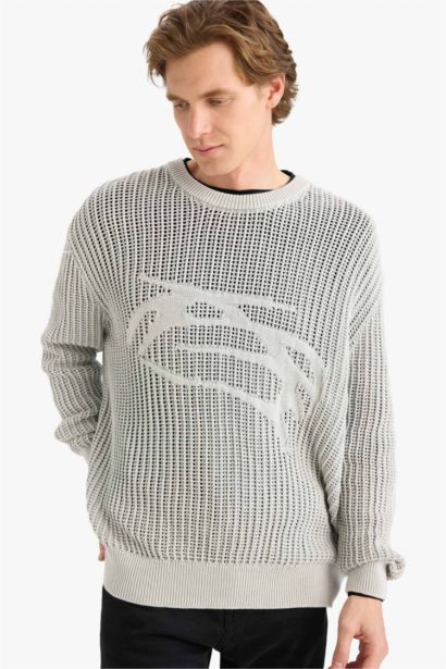 Crew Neck Openwork Knit Pullover