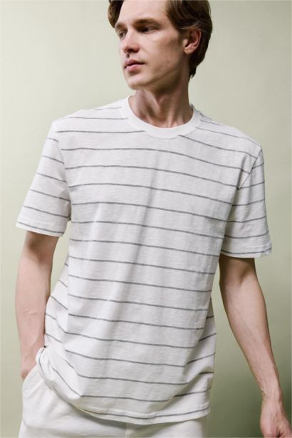 Regular Fit Crew Neck Striped T-Shirt