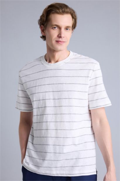 Regular Fit Crew Neck Striped T-Shirt