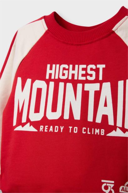 Baby Boy Sweatshirt Sweatpants 2 Piece Pajama Set