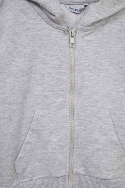 Baby Boy Regular Fit Hooded 2 Piece Sweatshirts