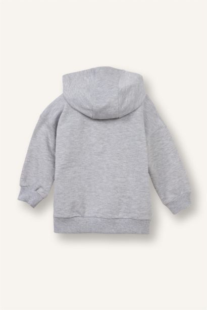 Baby Boy Regular Fit Hooded 2 Piece Sweatshirts