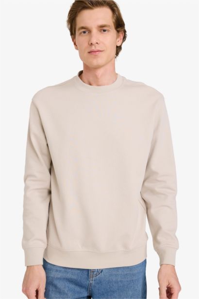 Basic Crew Neck Sweatshirt