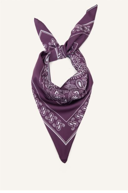 Woman Printed Foulard