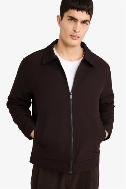 Regular Fit Shirt Collar Lined Zippered Jacket