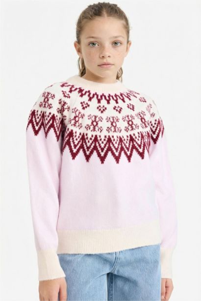 Girl Regular Fit Embroidered Crew Neck Pullover