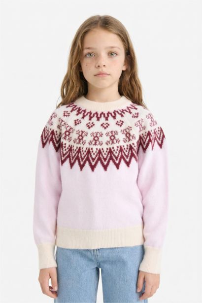Girl Regular Fit Embroidered Crew Neck Pullover