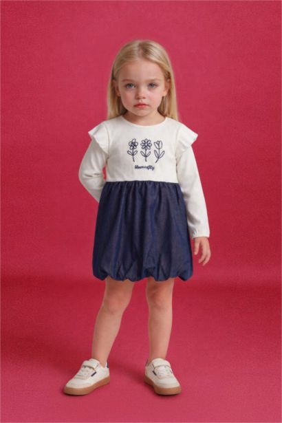 Balloon Fit Embroidered Long Sleeve Woven Dress