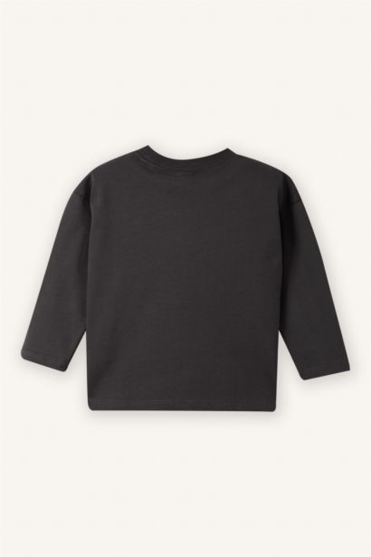 تيشيرت بيبي ولادي ردن طويل مطبوع قصة عادية