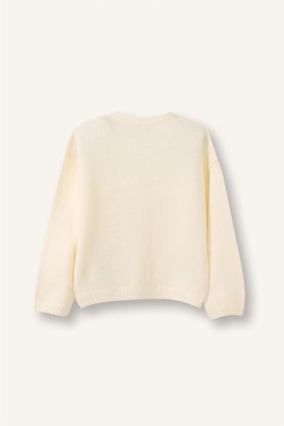 كارديجان مطرز قصة عادية بياقة V