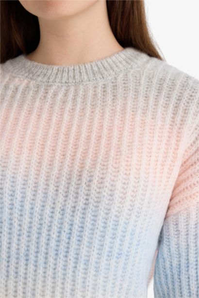 Regular Fit Crew Neck Romantic Print Pullover