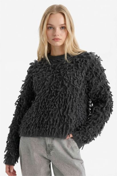 Regular Fit Crew Neck Knitwear Pullover