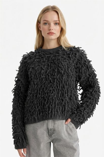 Regular Fit Crew Neck Knitwear Pullover