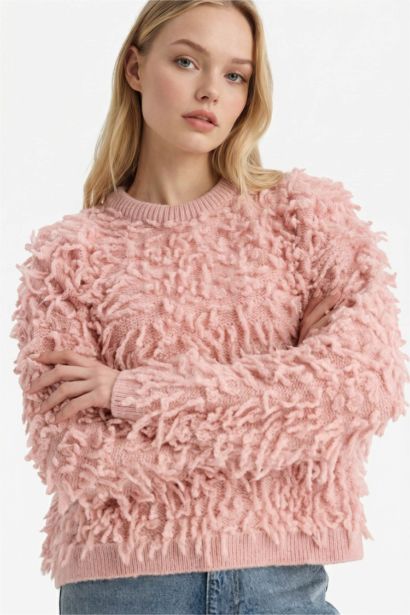 Regular Fit Crew Neck Knitwear Pullover